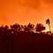 California beach paradise turns into inferno as Palisades Fire spreads