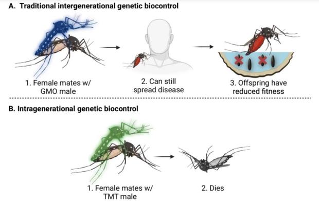 mosquitoes-screenshot-2025-01-08-062736.jpg 