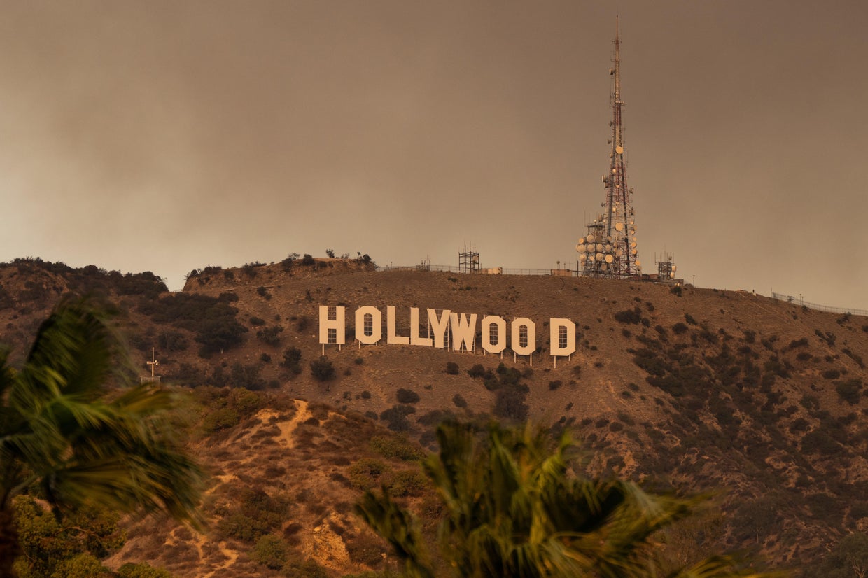 Hollywood Hills scorched as Sunset Fire ignites in Los Angeles ...