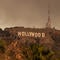 Hollywood Hills scorched as Sunset Fire spreads in Los Angeles