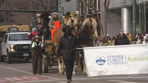 stockade-parade-lu21-frame-3221519.jpg 