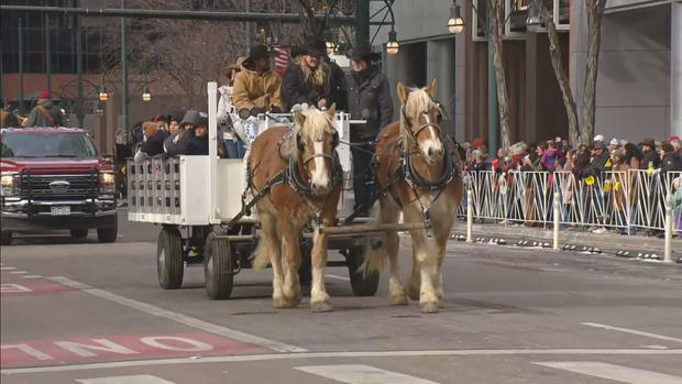 stockade-parade-lu21-frame-4275027.jpg 