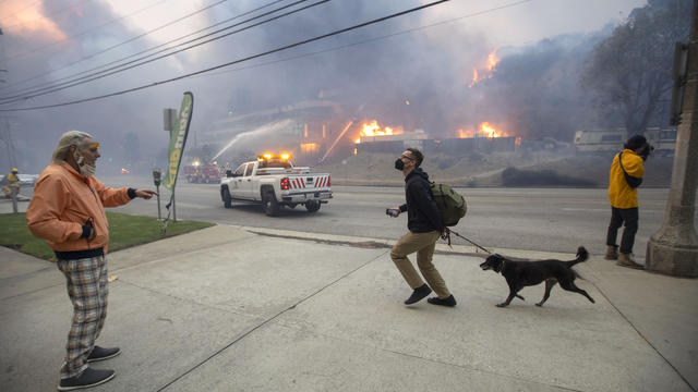 Los Angeles fire pet evacuations 