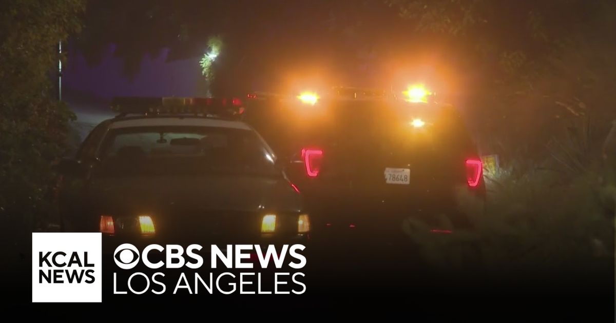 LAPD sends officers to Hollywood Hills to patrol for looters - CBS Los ...