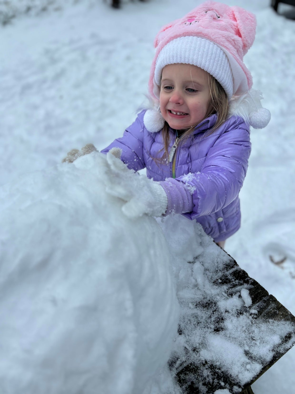 snow-day-in-north-texas-86.jpg 