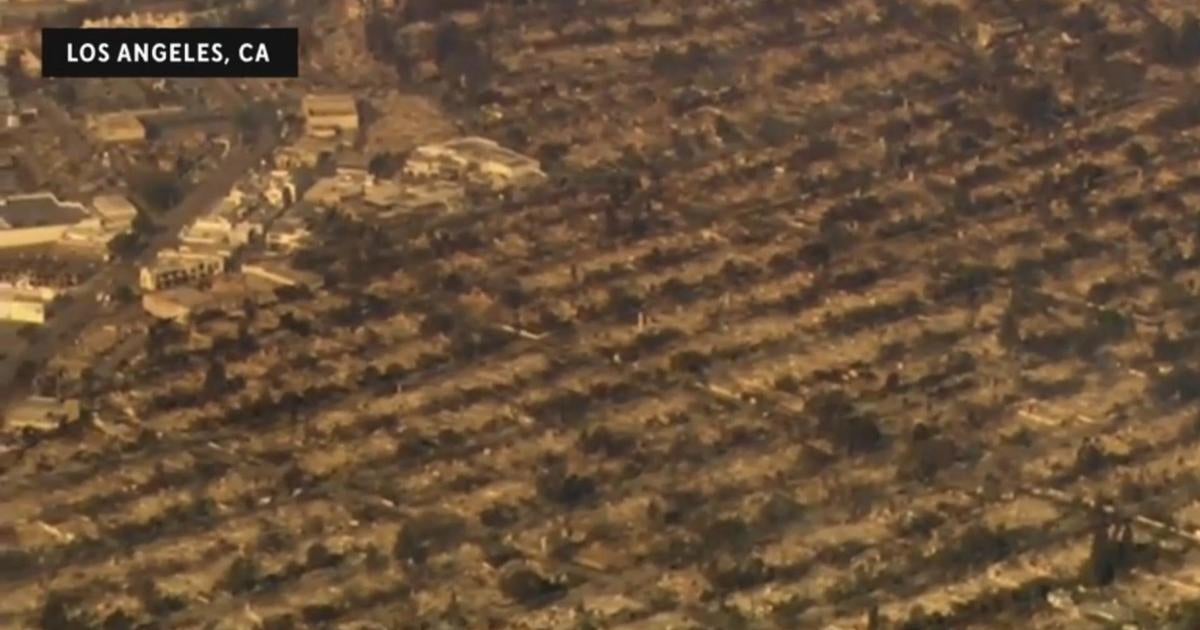 L.A. homes reduced to ashes amid fires