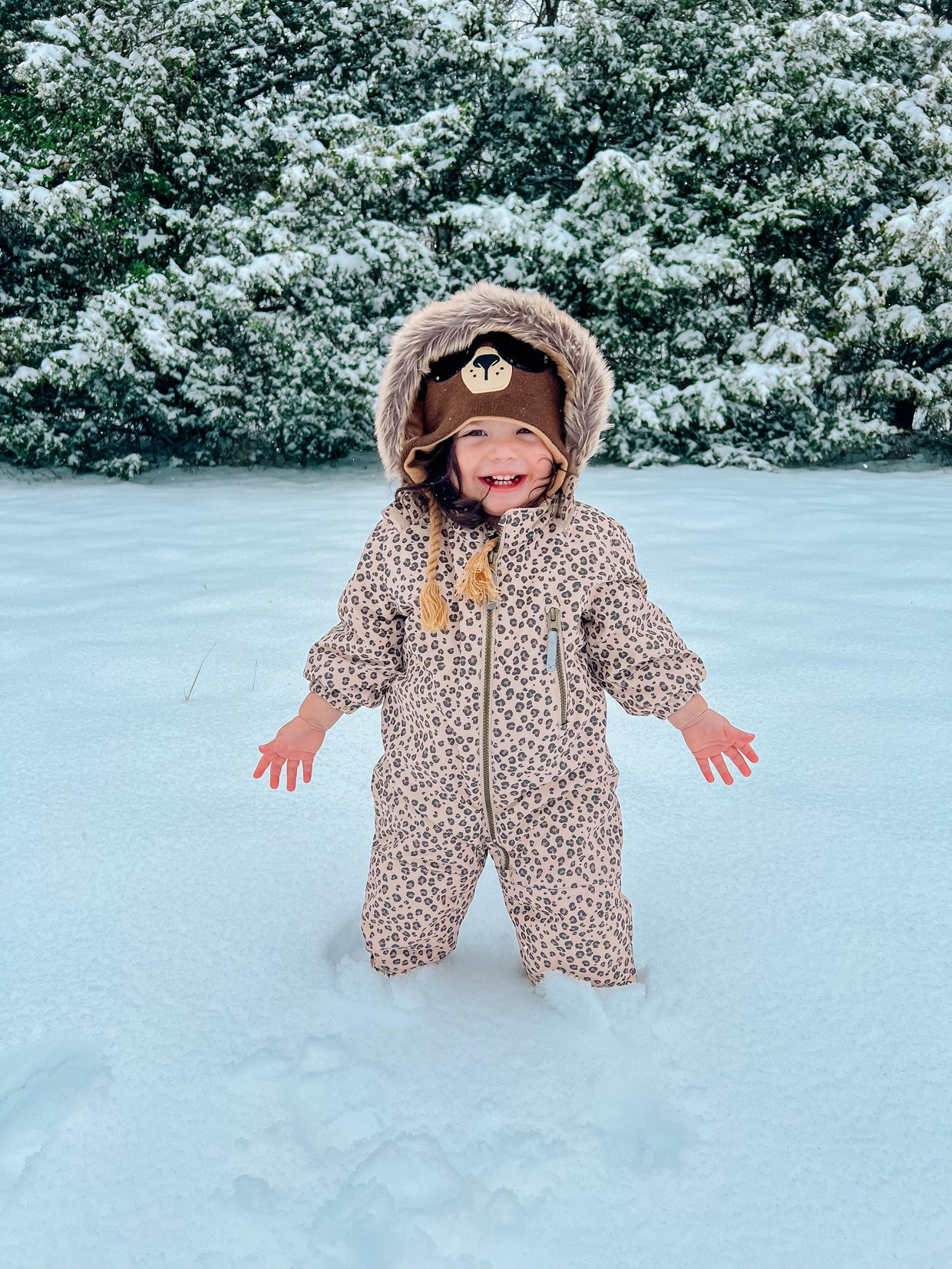snow-day-in-north-texas-65.jpg 