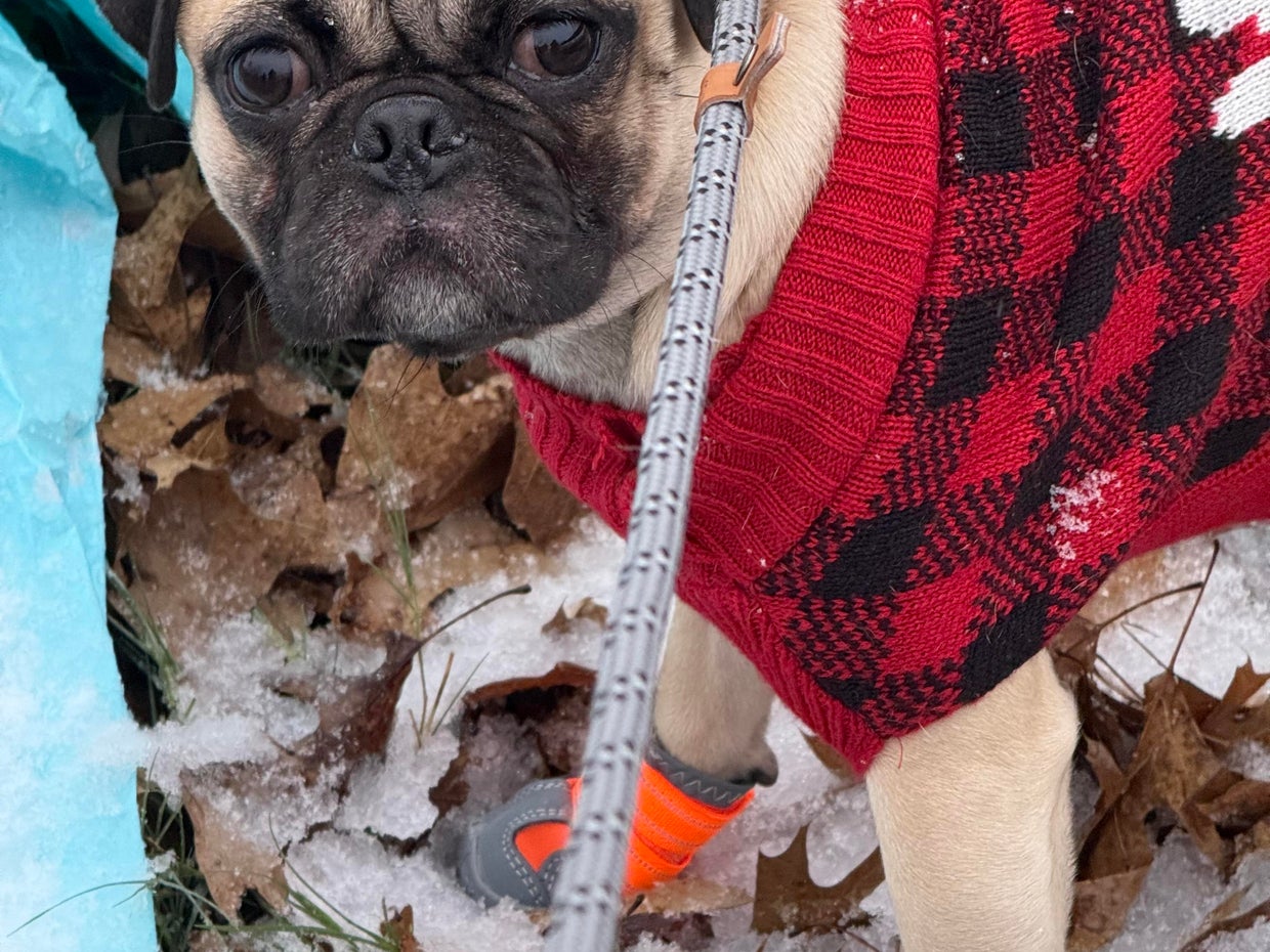 snow-day-in-north-texas-44.jpg 