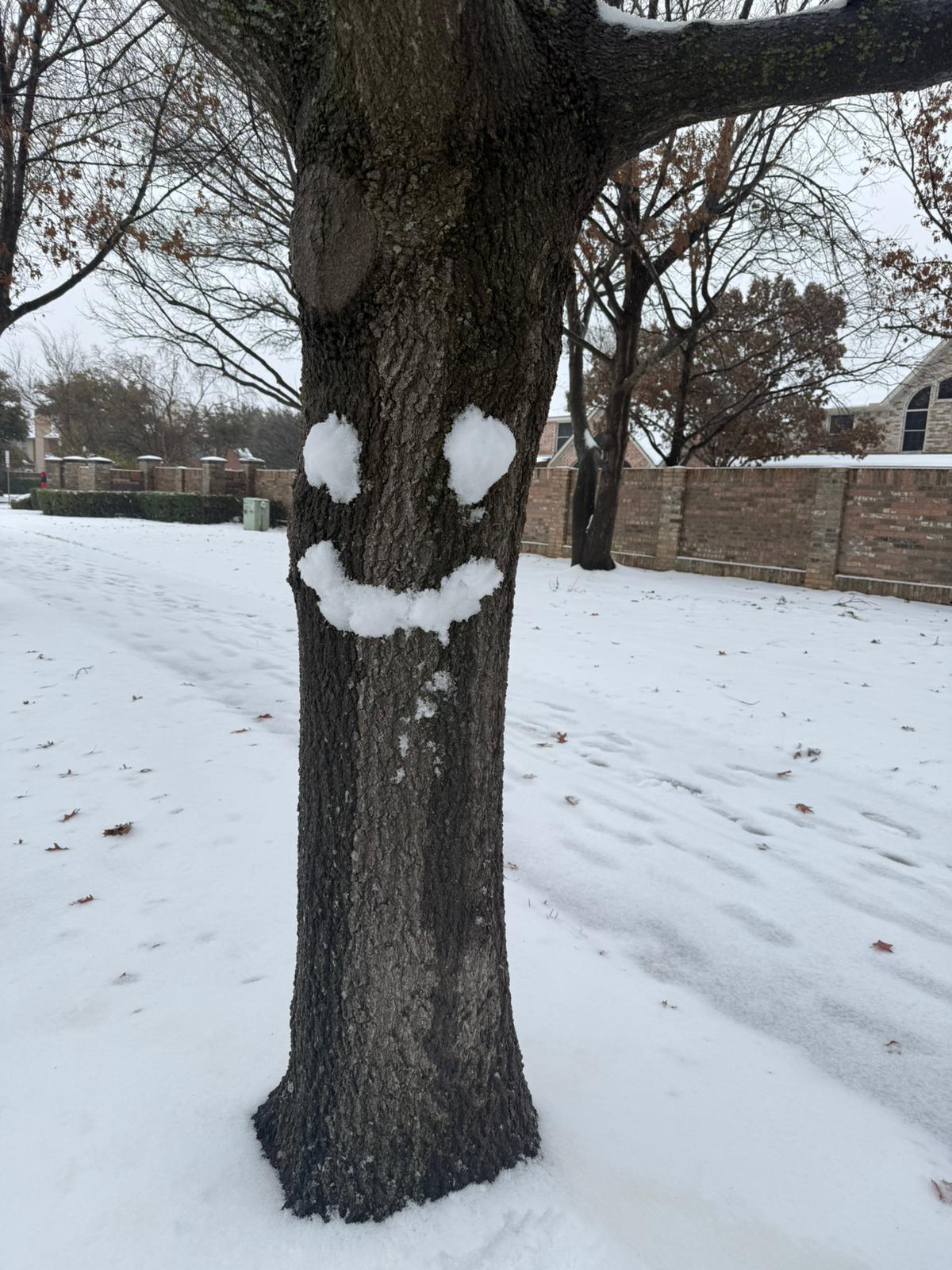 snow-day-in-north-texas-9.jpg