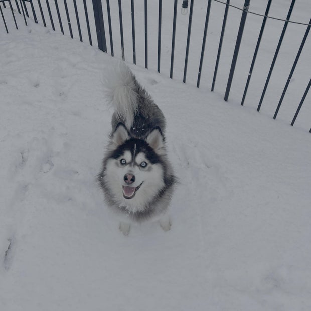 snow-day-in-north-texas-15.jpg