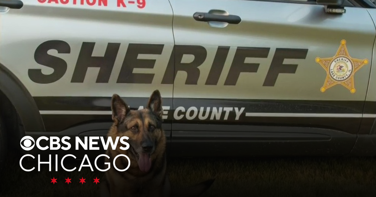 2 in custody after Lake County K9 Duke sniffs out drugs during traffic ...