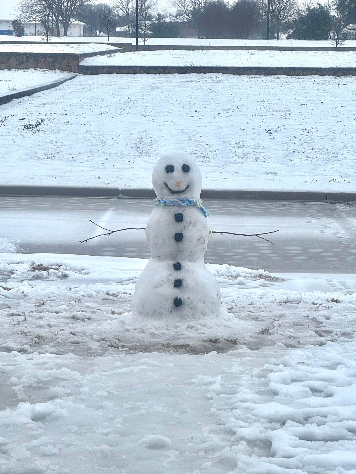 snow-day-in-north-texas-58.jpg 