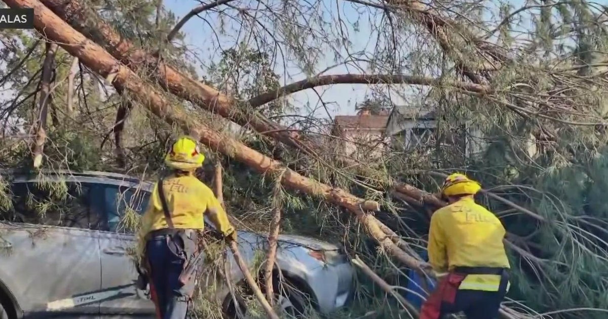 How Northern California fire crews are helping with LA fires