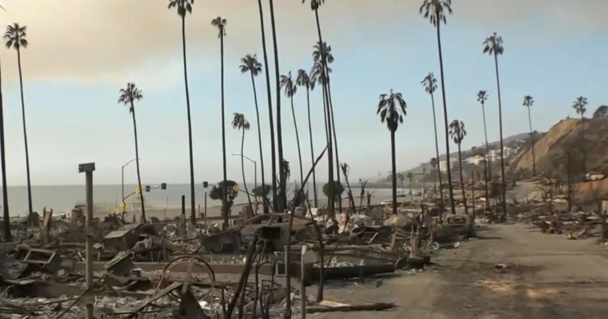 Aerial footage reveals extensive damage as Los Angeles area wildfires rage on