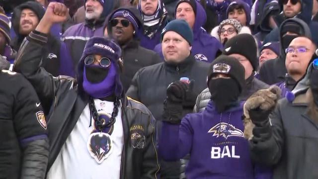 ravens2.jpg 