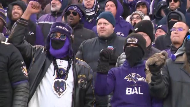 ravens2.jpg