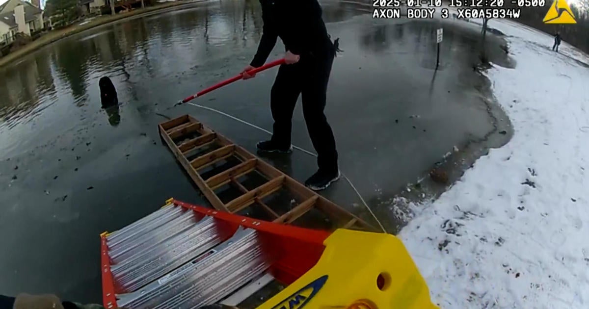 Body camera video shows Pennsylvania police officers rescue 2 dogs trapped in frozen pond