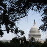 U.S. Capitol Dome 