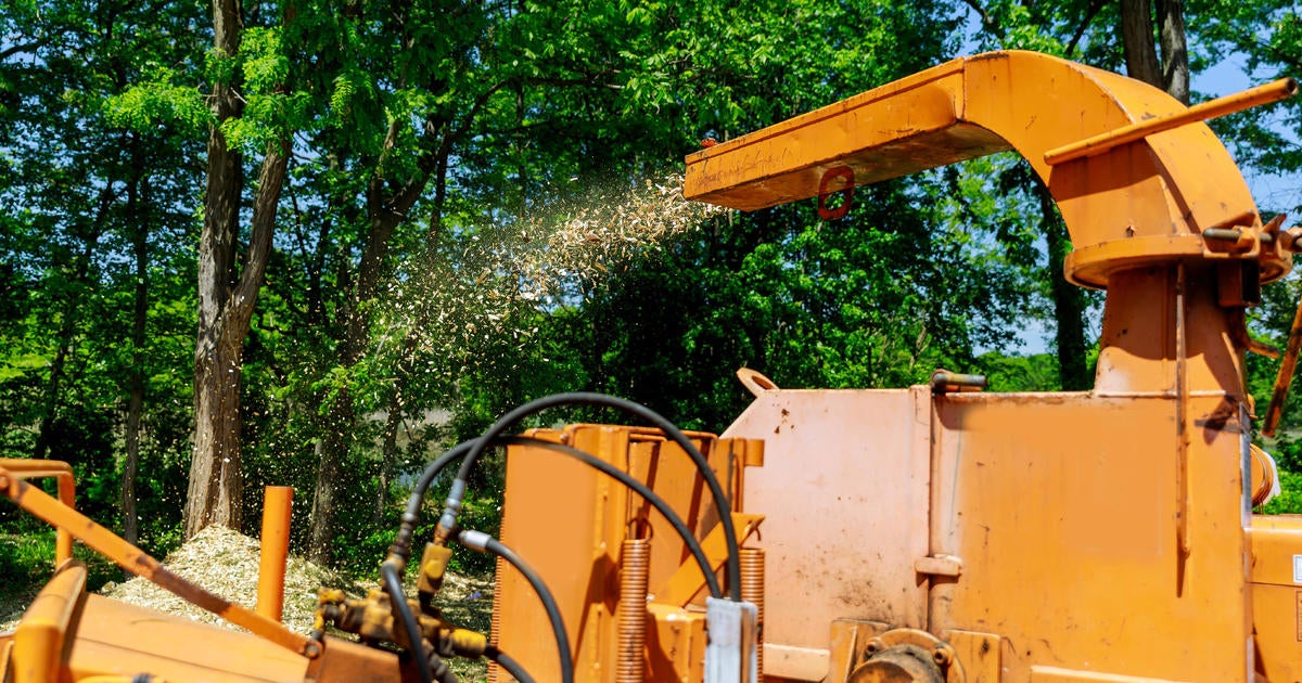 Tree trimmer killed in wood chipper accident in Florida