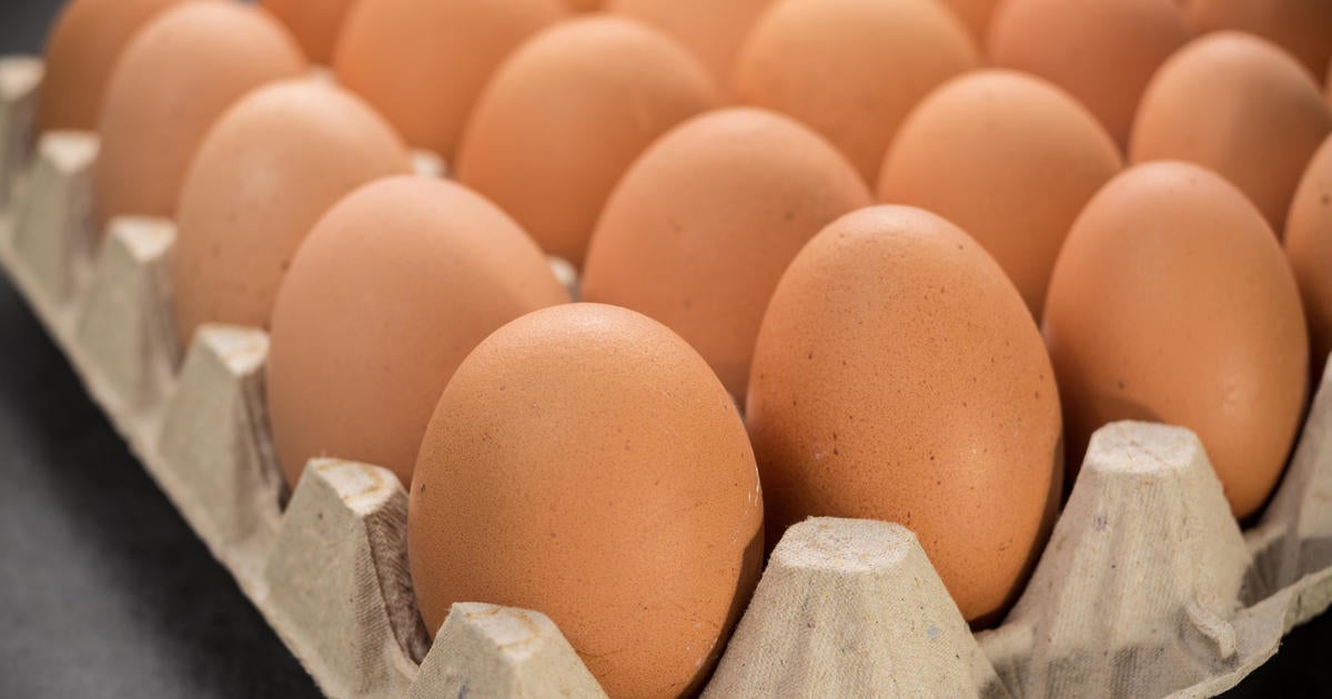 Michigan senator introduces bill to repeal cage-free egg law