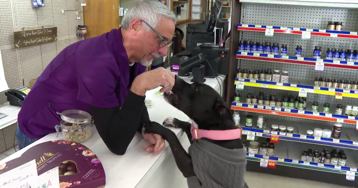 Oak Park, Illinois pharmacy that serves dogs along with people to close for good