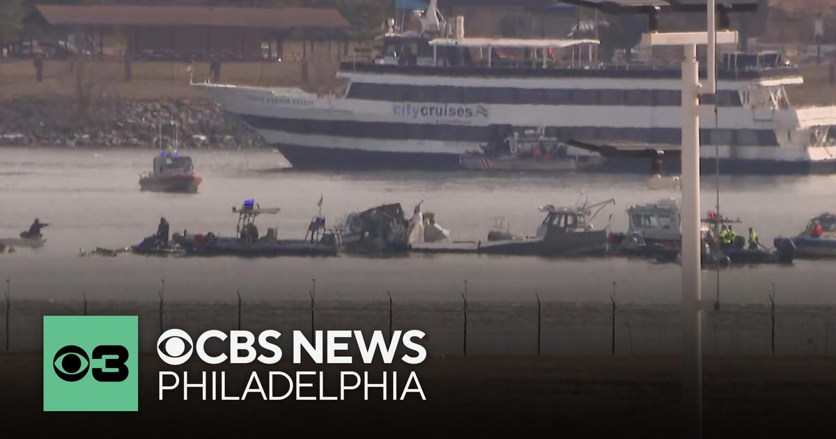 Recovery efforts underway after deadly midair plane crash near ...