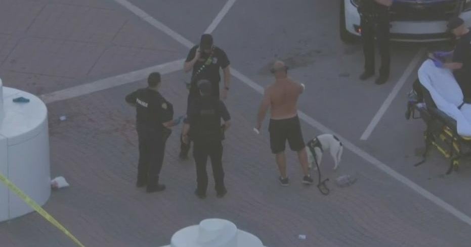Dog fight leads to shooting - CBS Miami