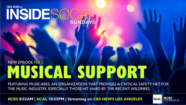 musical-support-web-gfx.png 