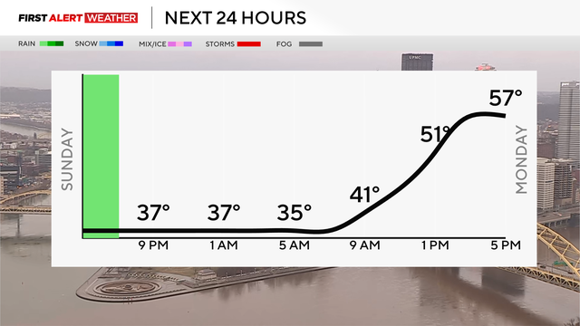next-24-hours-temp-line-weather-bars-camera-with-wipe.png 