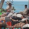 Veterans with PTSD travel to other countries to access psychedelics