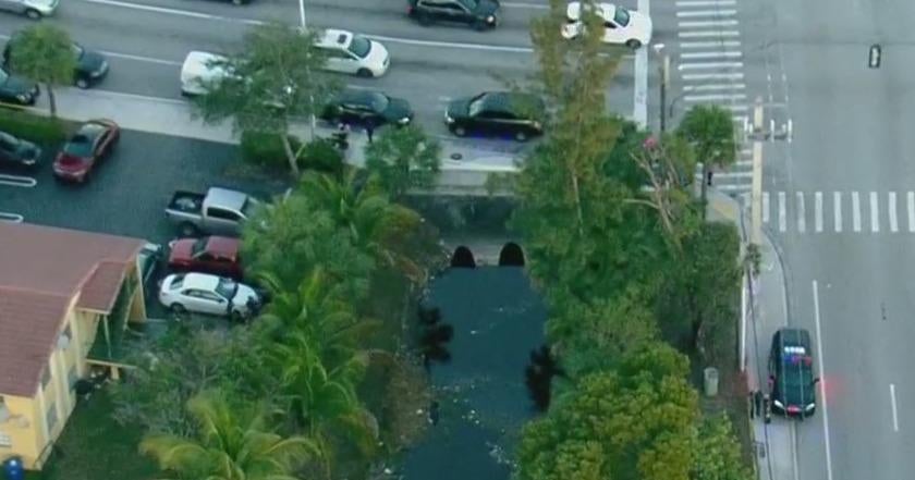 Body found in Coral Springs canal - CBS Miami