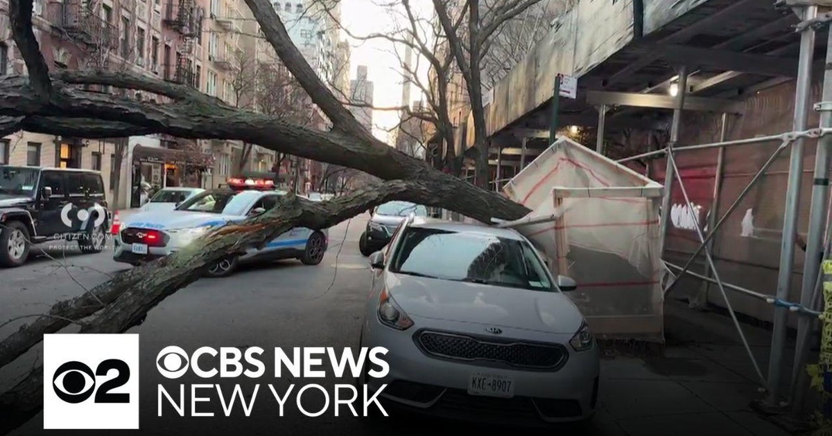 Large tree falls on car on Upper East Side - CBS New York