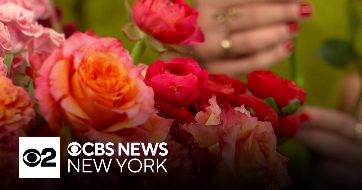 Give the gift of flowers this Valentine's Day - CBS New York