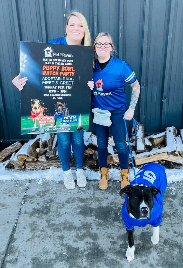 puppy-bowl-potato-credit-pet-haven.jpg 