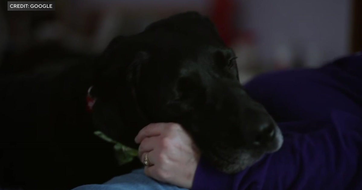 Google Super Bowl Ads Highlight AI in Small Businesses
