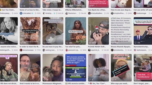 IRS warns against taking tax advice from TikTok 