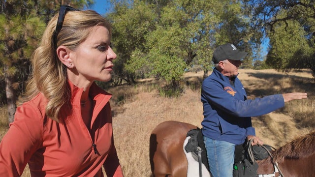 Horse trainer discovers pre-dug grave of missing teen on