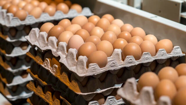 Cartons of brown eggs 