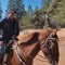 Horse trainer discovers pre-dug grave of missing California teen