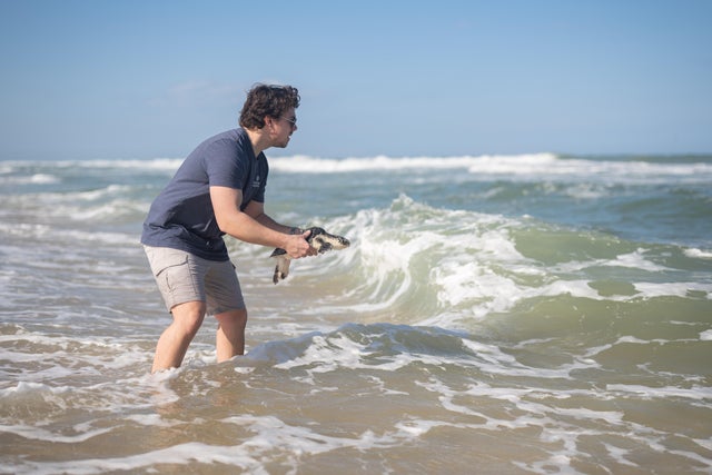 National Aquarium Sea Turtle Release 
