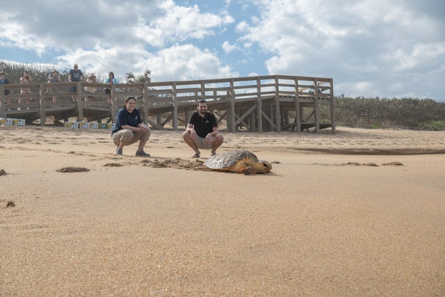 National Aquarium Sea Turtle Release 