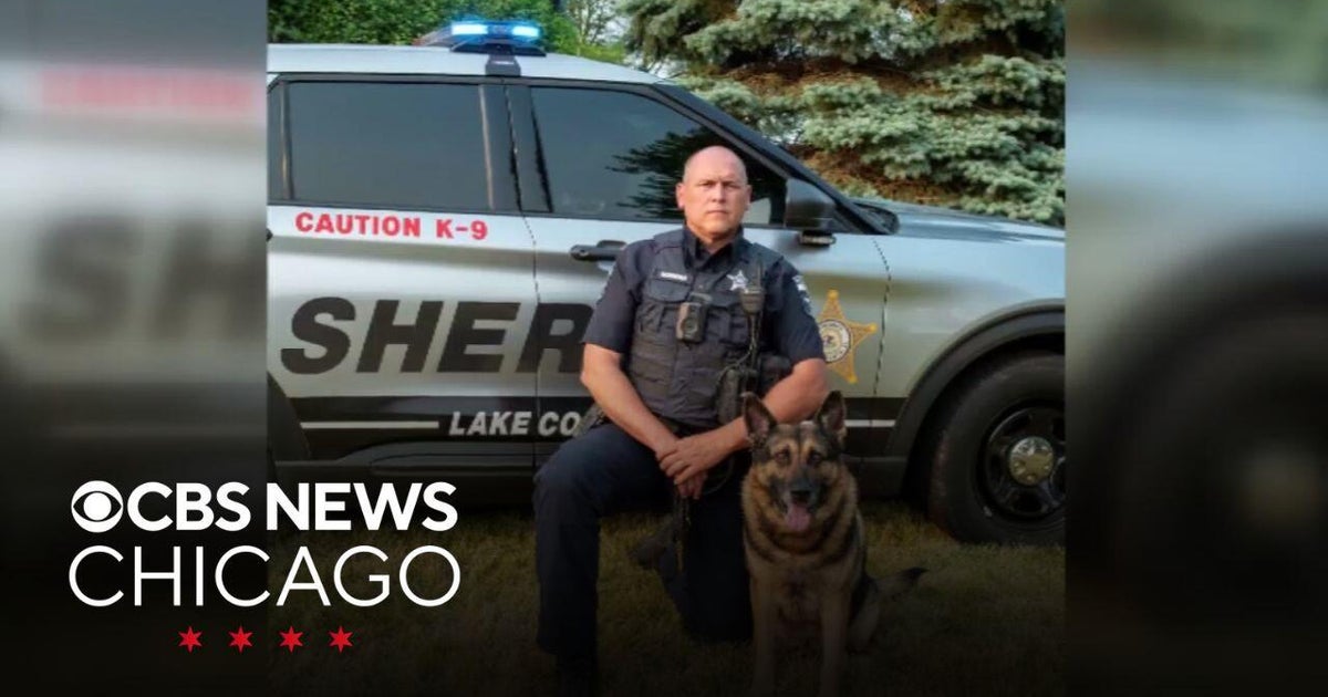 Lake County K9 tracks down burglary suspect in Grayslake - CBS Chicago
