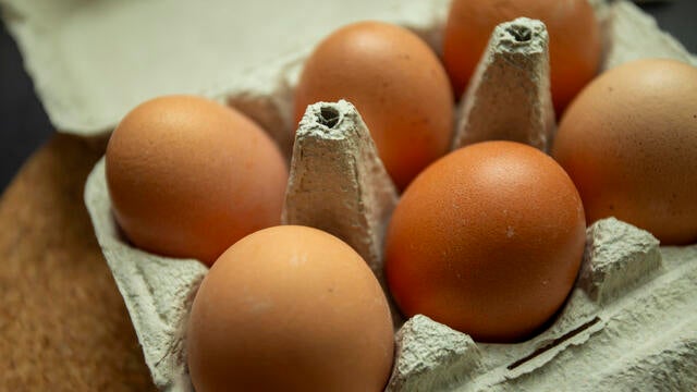 Consumers Seek Alternatives Amid Soaring Egg Prices 