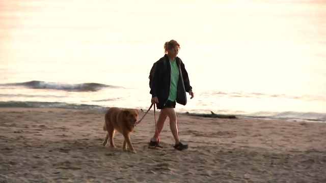 evanston-dog-beach.png 