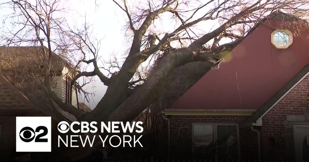 Powerful winds eyed as tree plunges on Queens home - CBS New York