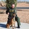 Prosecutors seek death penalty in fatal shooting of Border Patrol agent