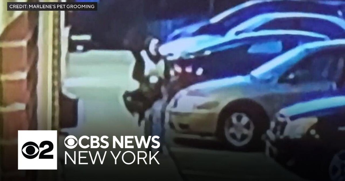 New Jersey woman shot in the face with crossbow CBS New York