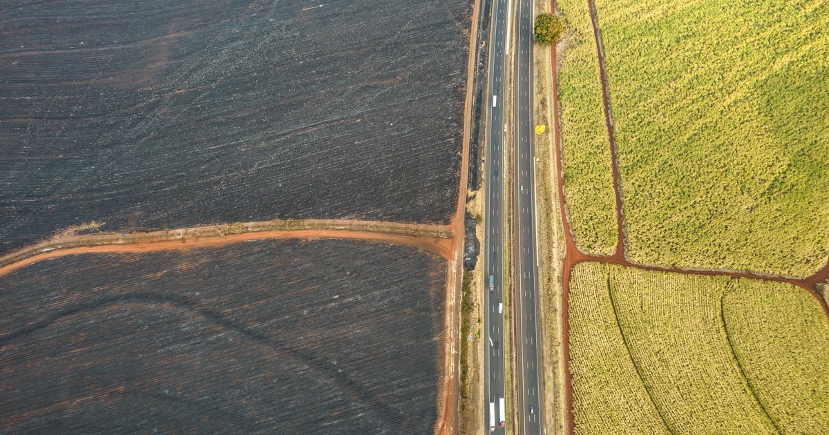 Global Road Accidents Highlight Safety Challenges