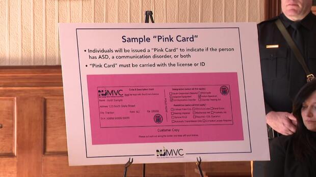 A poster showing an example of a New Jersey Motor Vehicle Commission "pink card." 