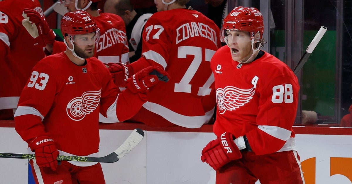 Red Wings Triumph Over Ducks in Overtime